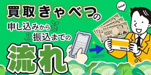 買取きゃべつの申し込みから振込までの流れ