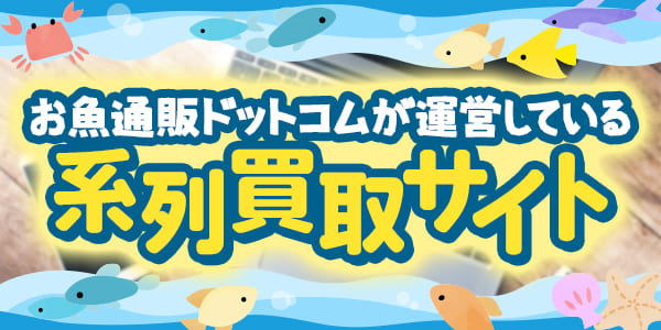 お魚通販ドットコムが運営している系列買取サイト