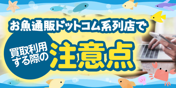 お魚通販ドットコム系列店で買取利用する際の注意点